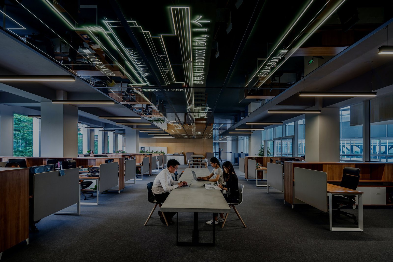 Equipa a trabalhar num espaço aberto com luz natural
